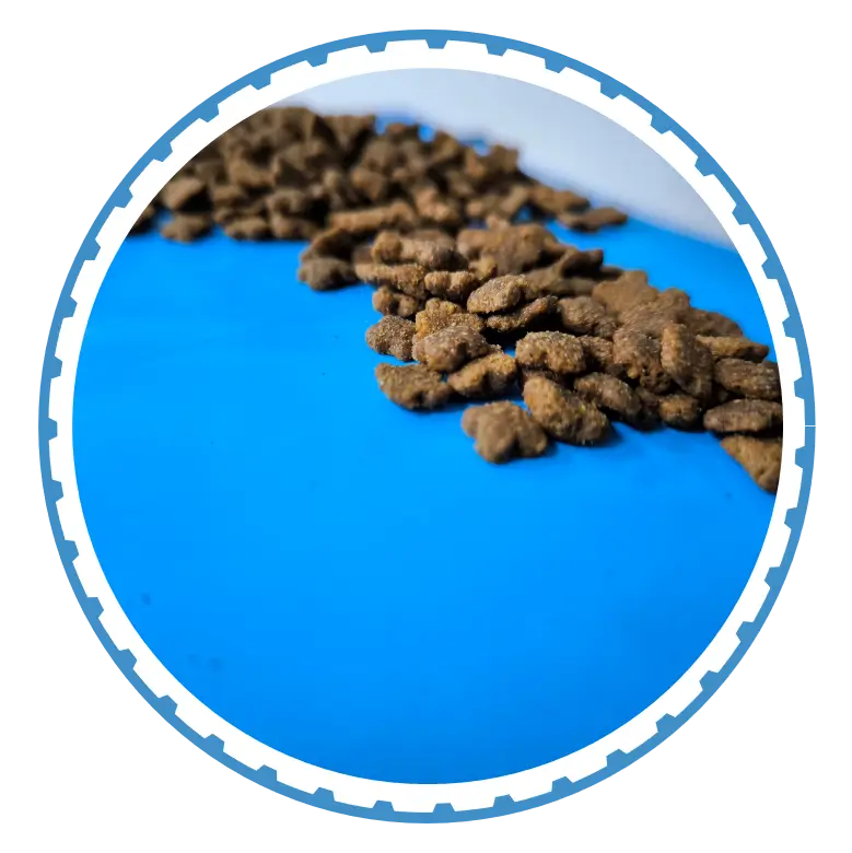 Pet Food Processing with Volta