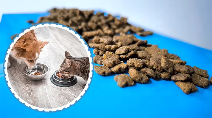 Enhancing Durability in Pet Food Processing