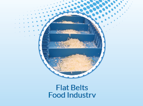 Food Grade Flat Conveyor Belts