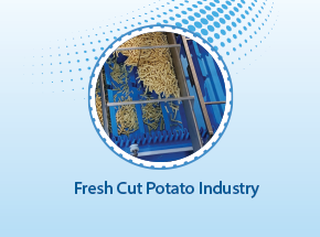 Fresh Cut Potato Industry