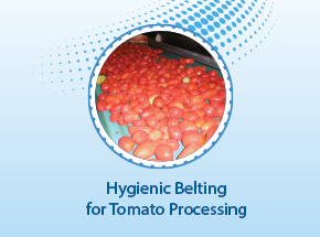 Tomato Processing