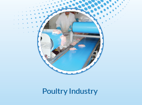 Poultry