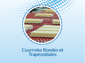 Courroies Rondes et Trápézoidales