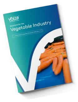 Vegetable Belting Solutions - Ebook