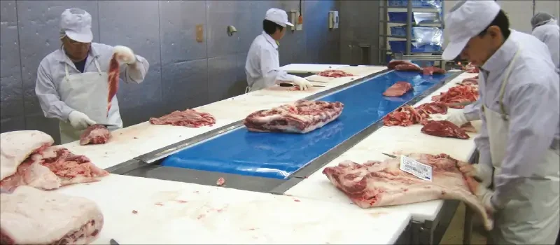 Meat processing Conveyor belts