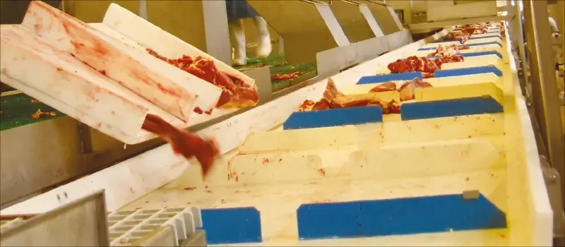 food grade conveyor belt