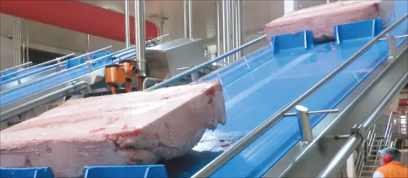 food grade conveyor belt