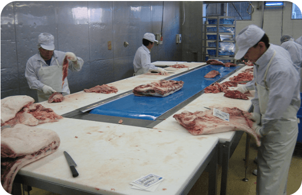 Meat Conveyor Systems