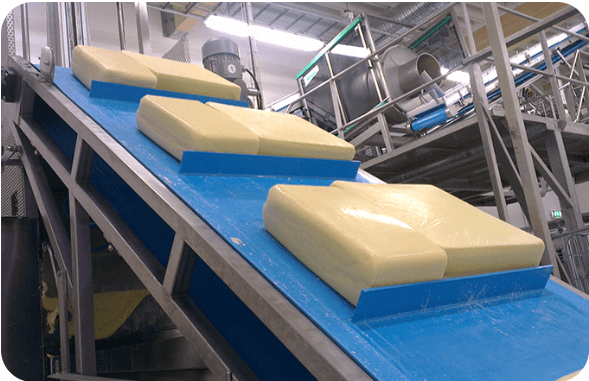 Dairy Conveyor Systems