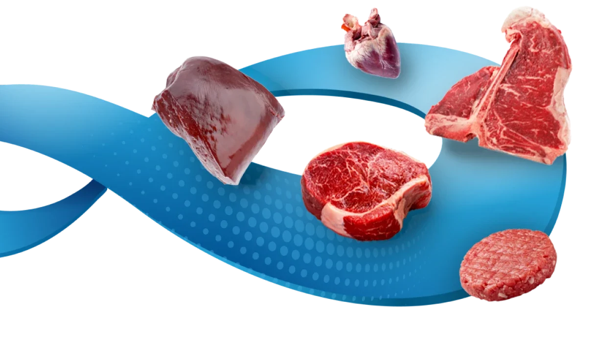 meat conveyer belts